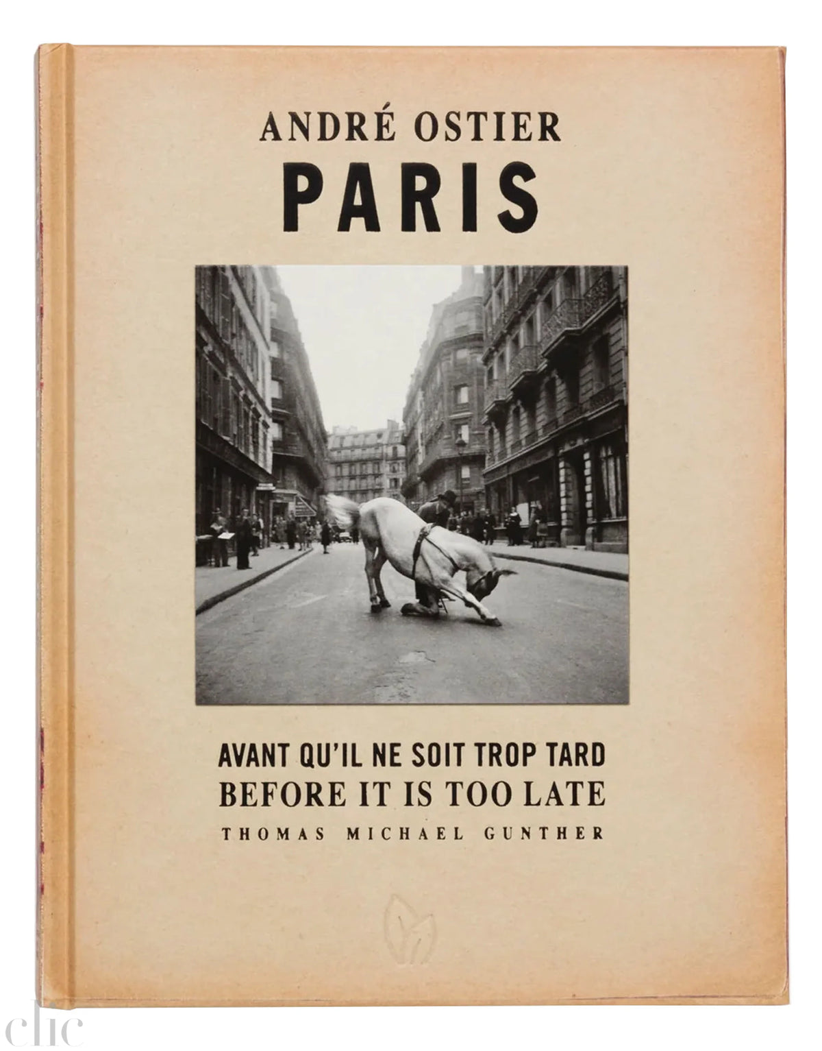Paris, Before It Is Too Late