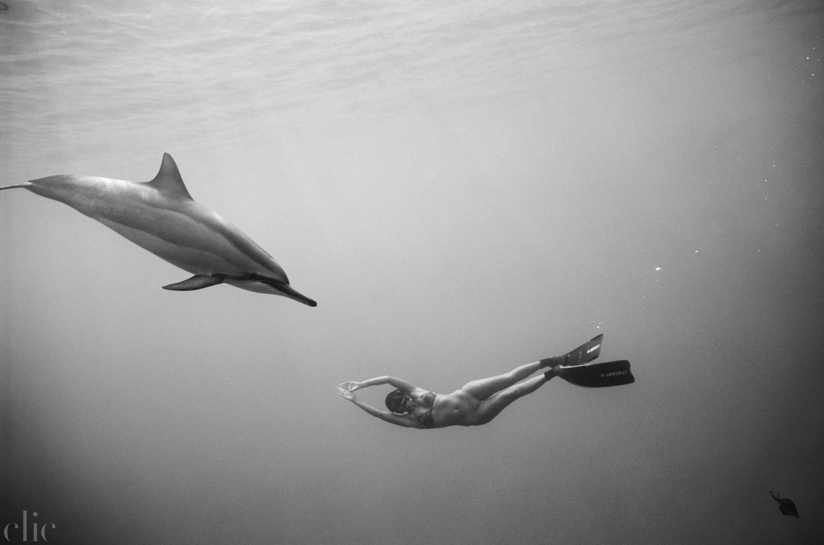 Kimi Werner with Dolphins #4 (B-342) by Wayne Levin