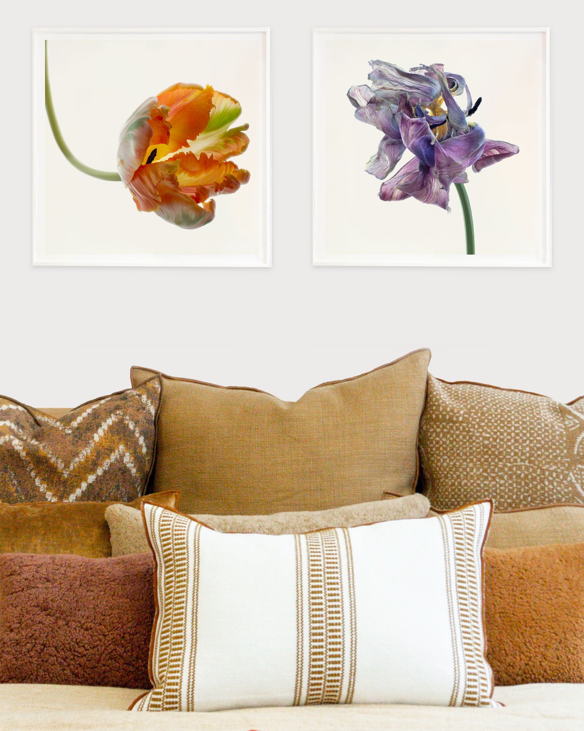 Flower Study 2 by Blaise Hayward