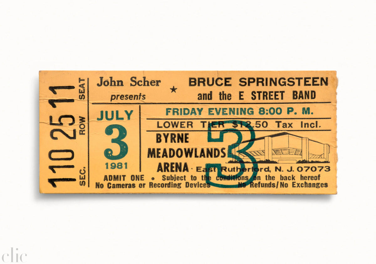 Bruce Springsteen and the E Street Band by Blaise Hayward