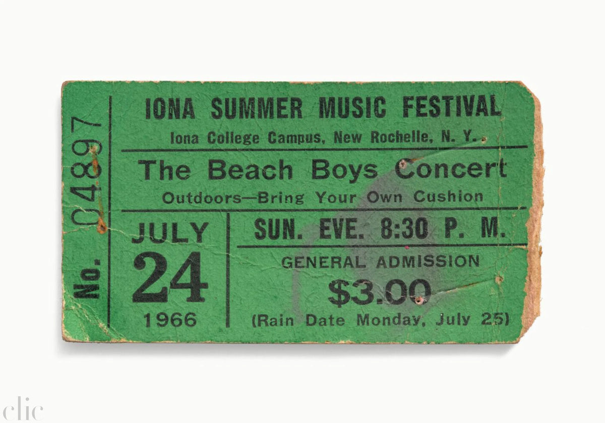 The Beach Boys by Blaise Hayward