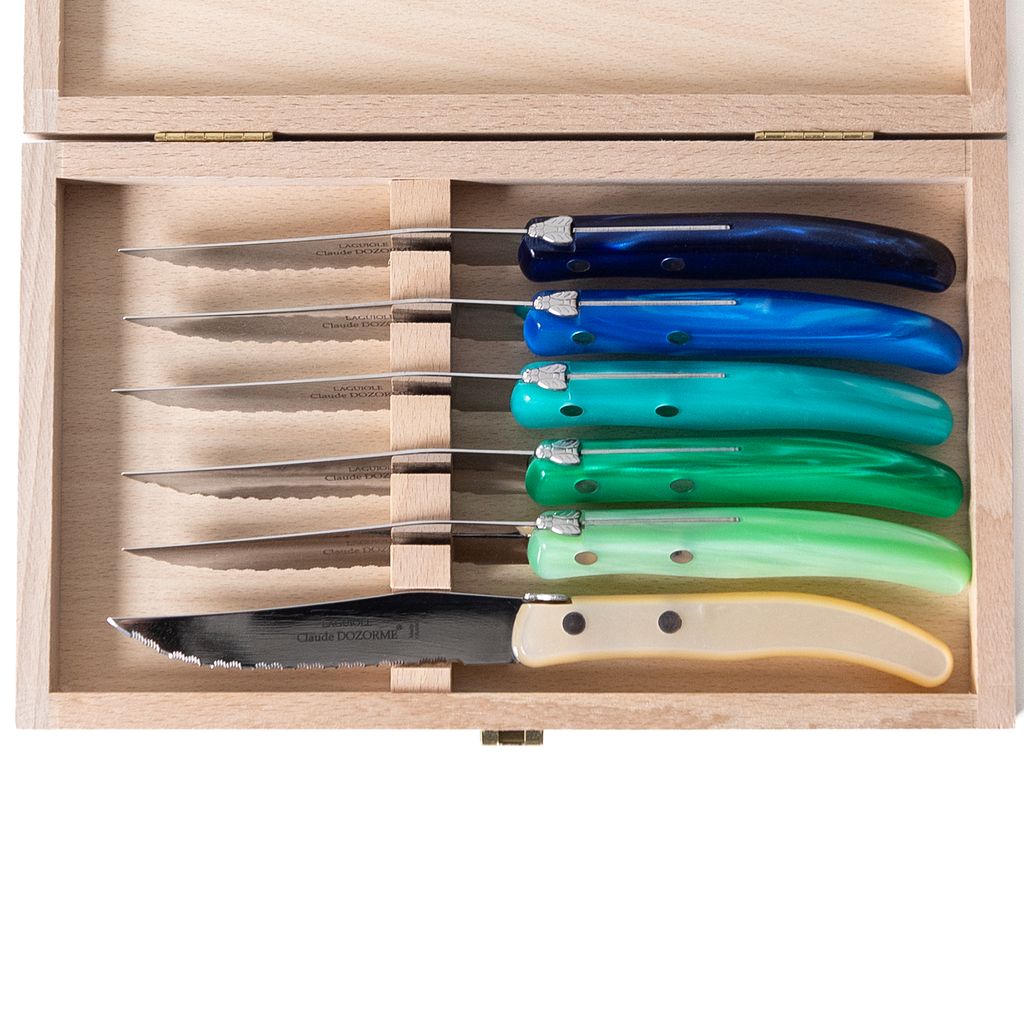 Berlingot Box of 6 Steak Knives in Blue and Green, from Claude Dozorme