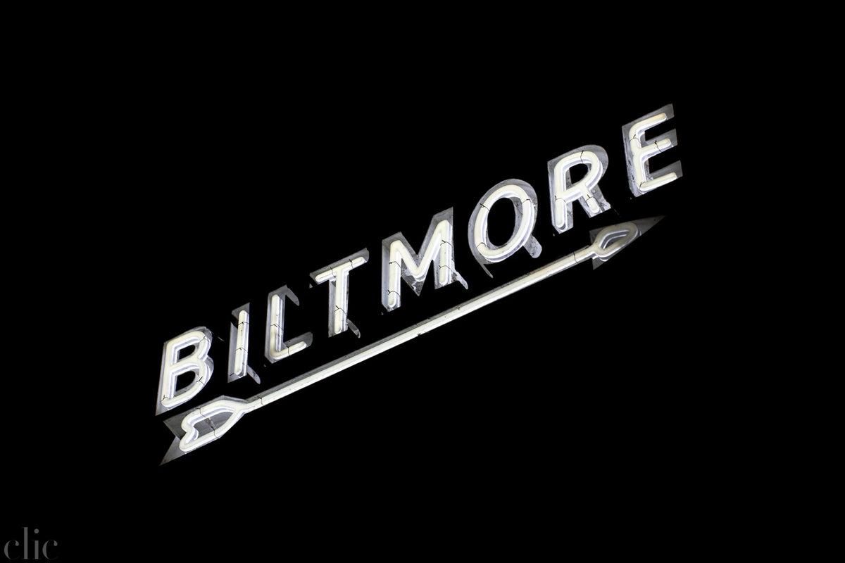 Biltmore by Oleg Char