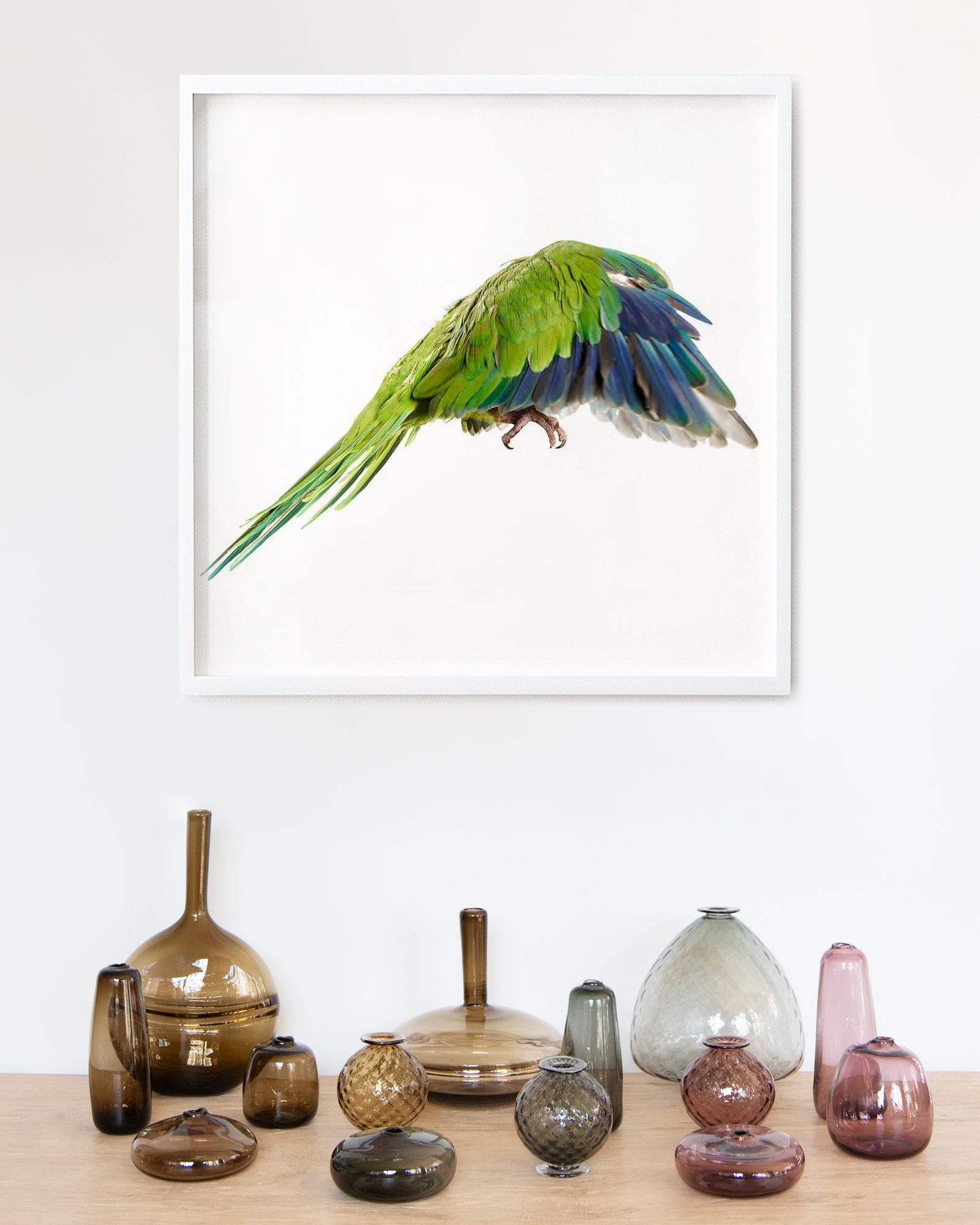 Bird 10 by Shelli Breidenbach