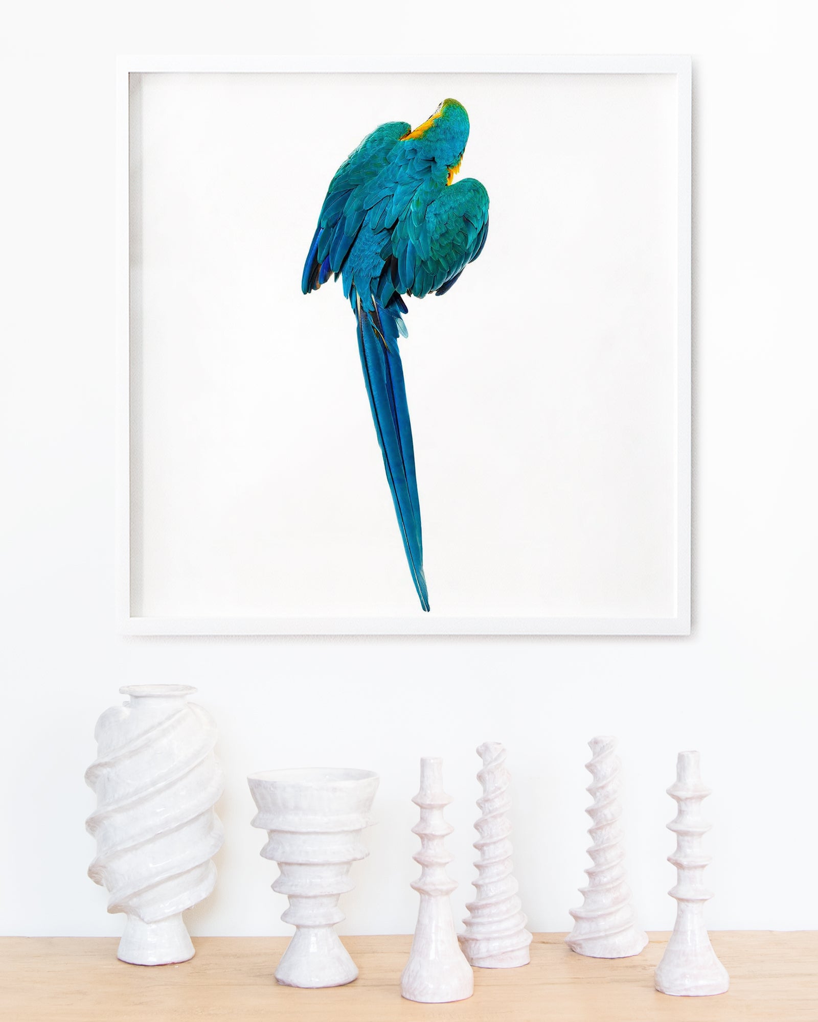 Bird 8 by Shelli Breidenbach