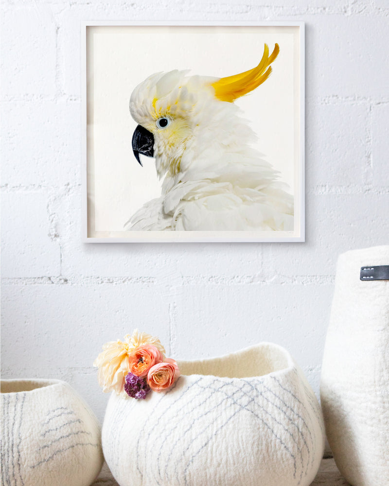 Bird #25 by Shelli Breidenbach