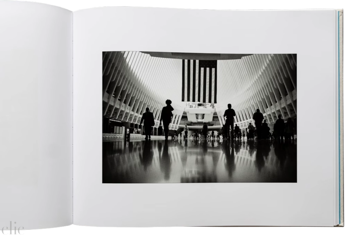 The American Experiment