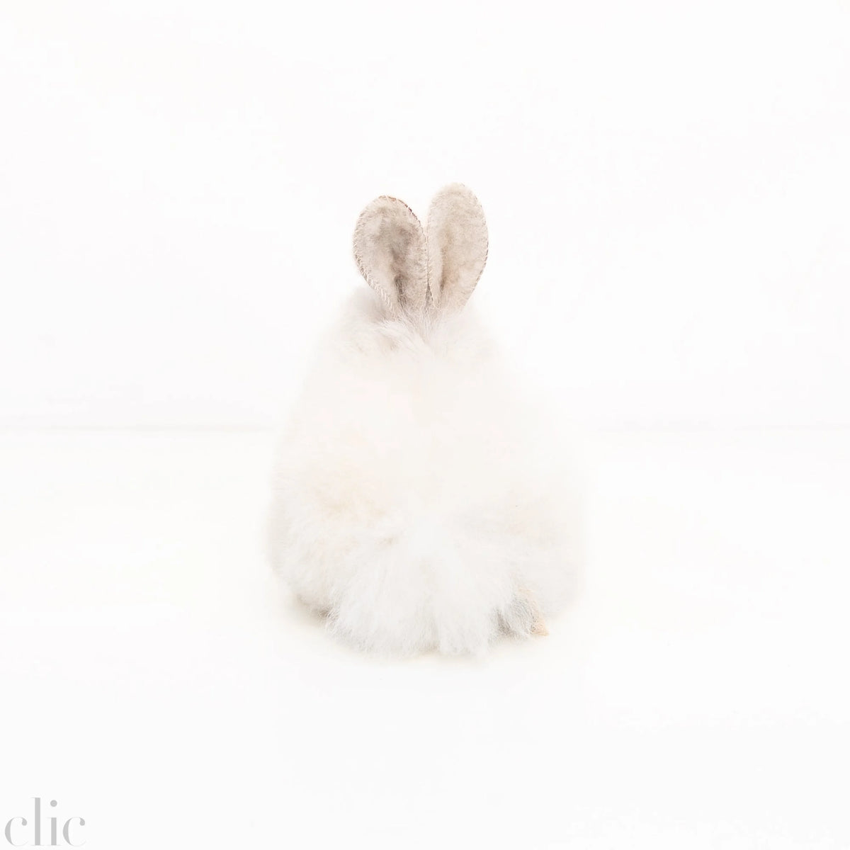 Alpaca Stuffed Bunny in White
