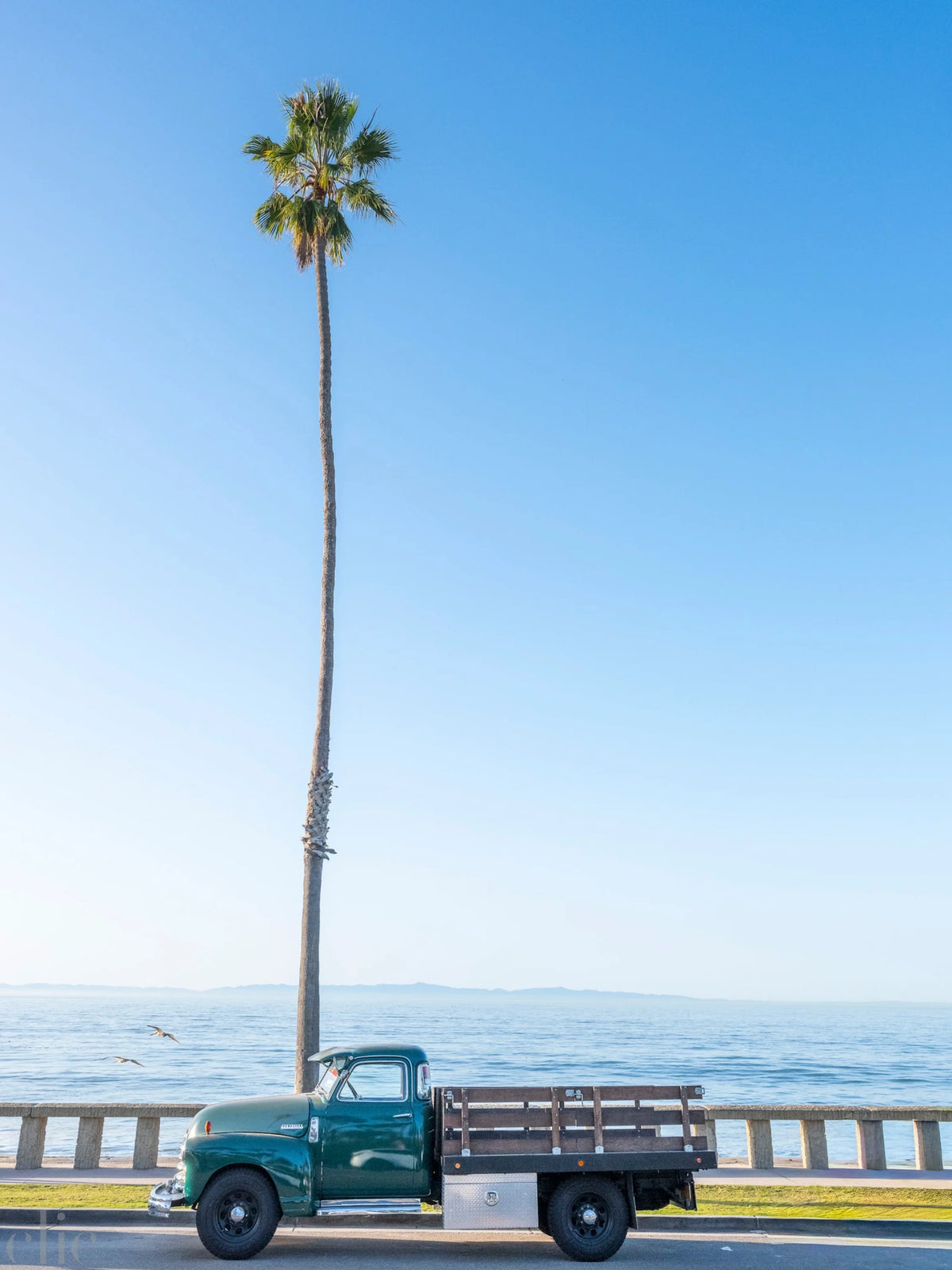 Butterfly Beach, Old Truck by Juliette Charvet