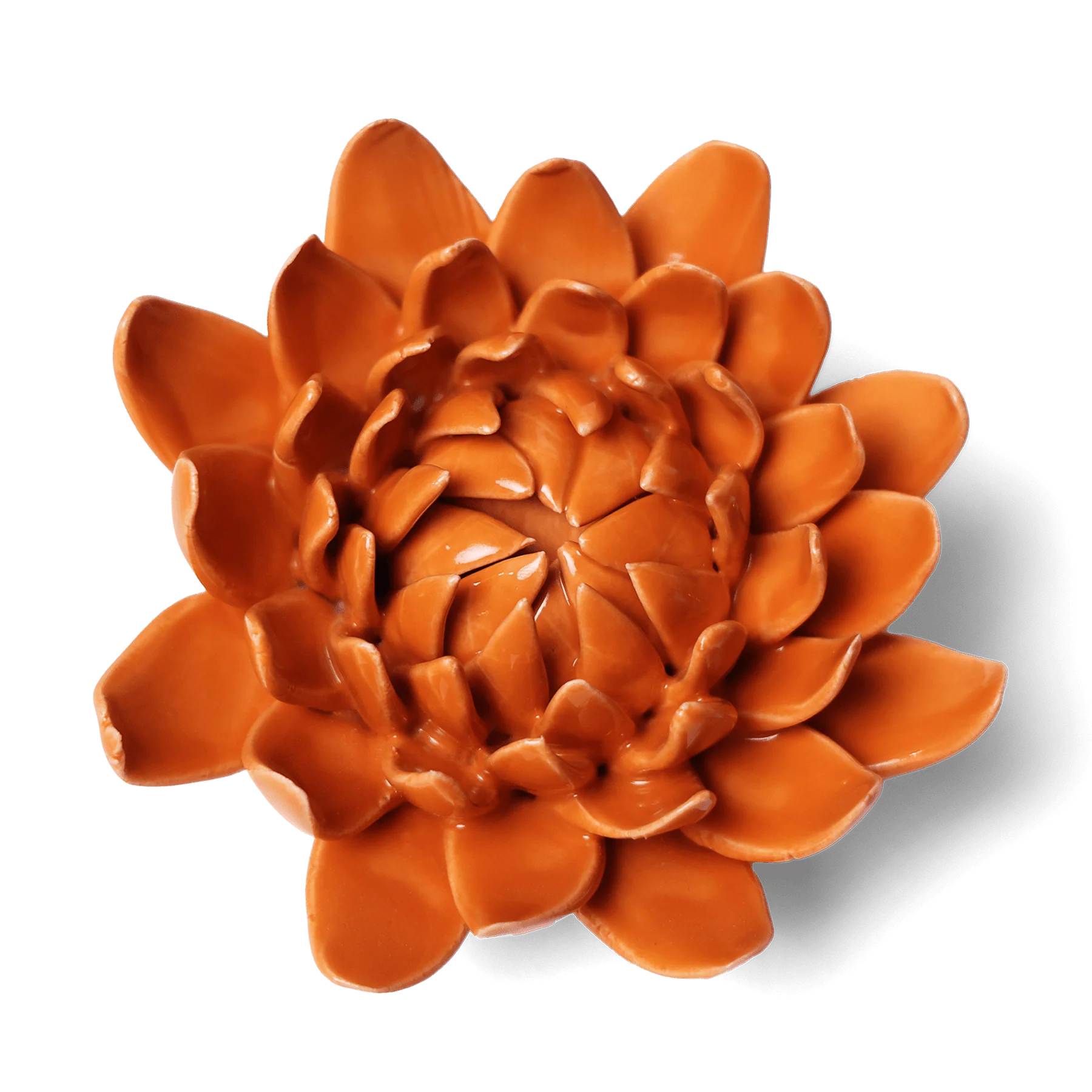 Dahlia in Orange, from Chive