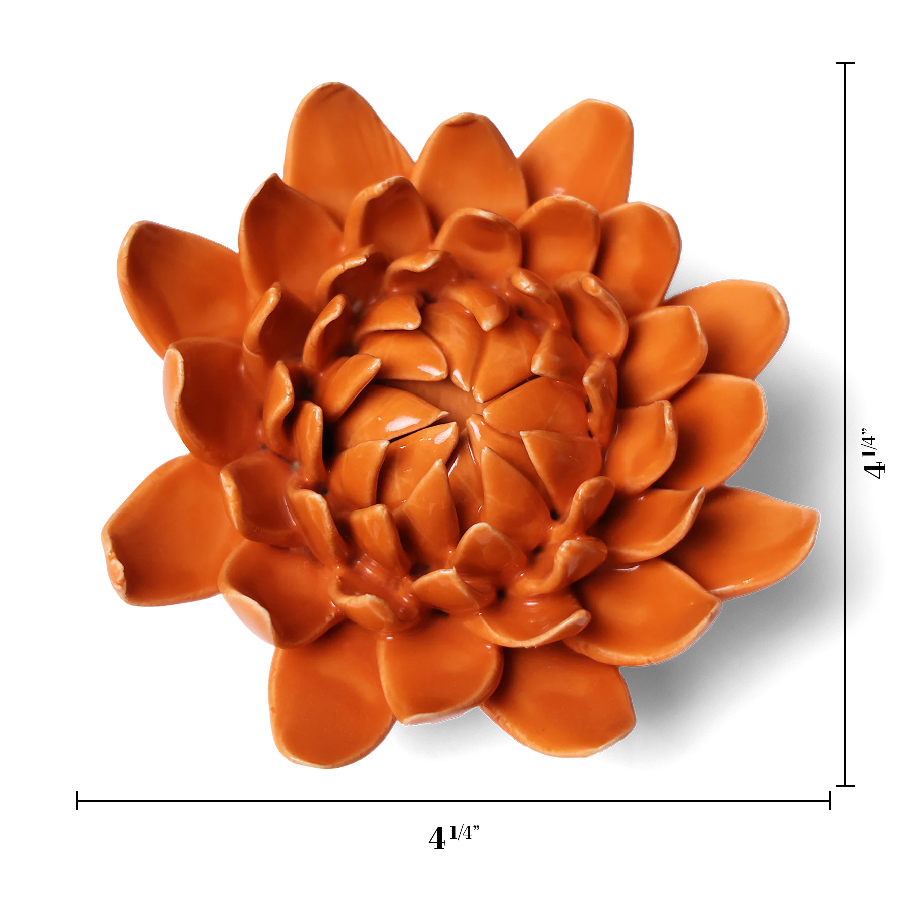 Dahlia in Orange, from Chive