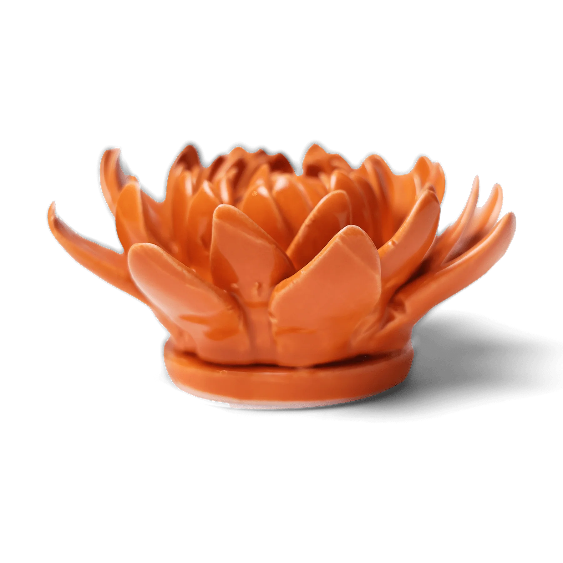 Dahlia in Orange, from Chive