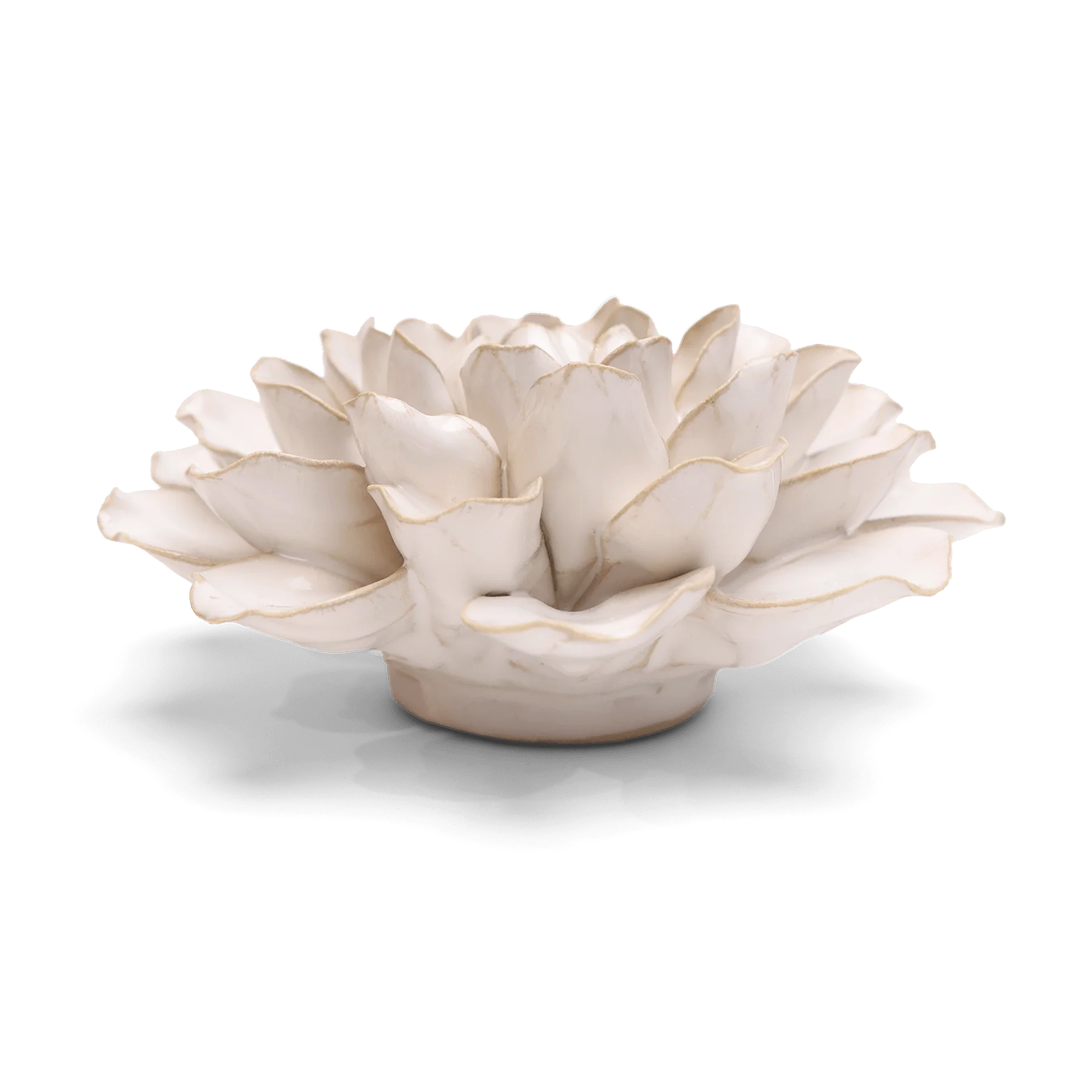 English Garden Ceramic Flower in White Water Lily, from Chive