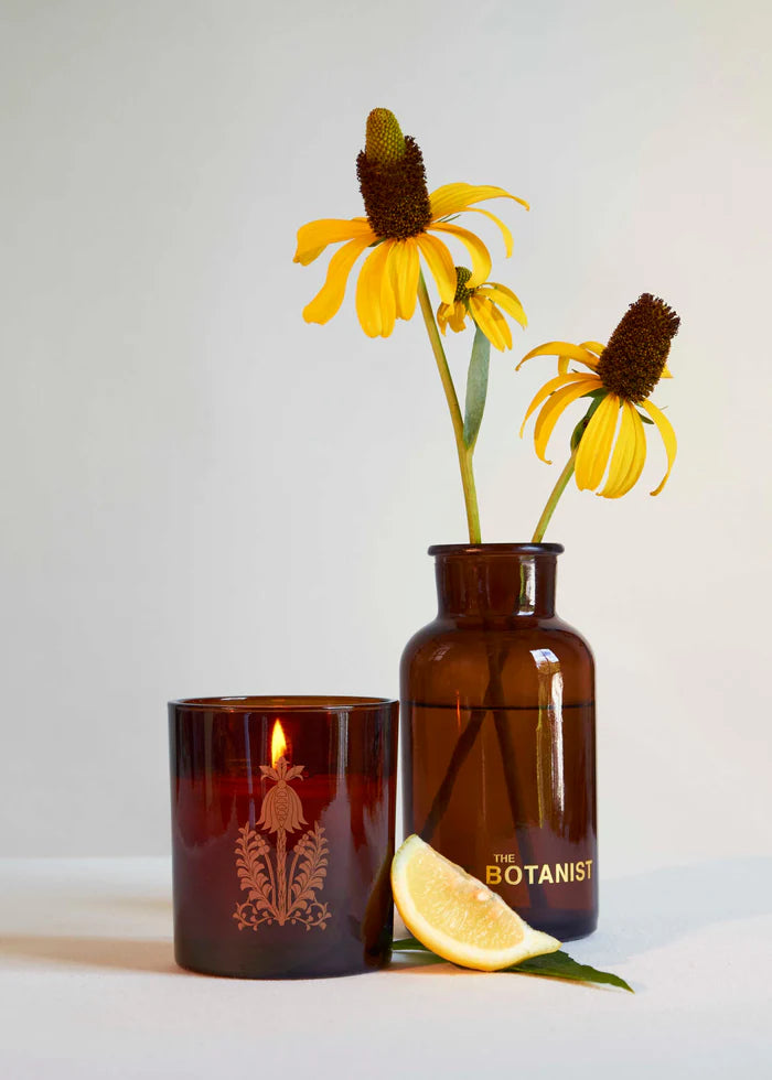 Candle in Orchard Sun, from The Quiet Botanist