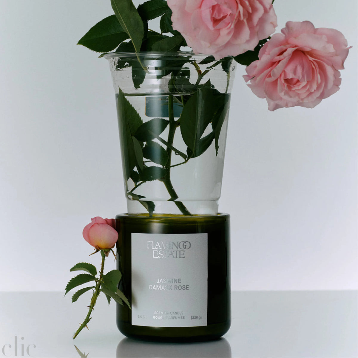Jasmine Damask Rose Candle, from Flamingo Estate