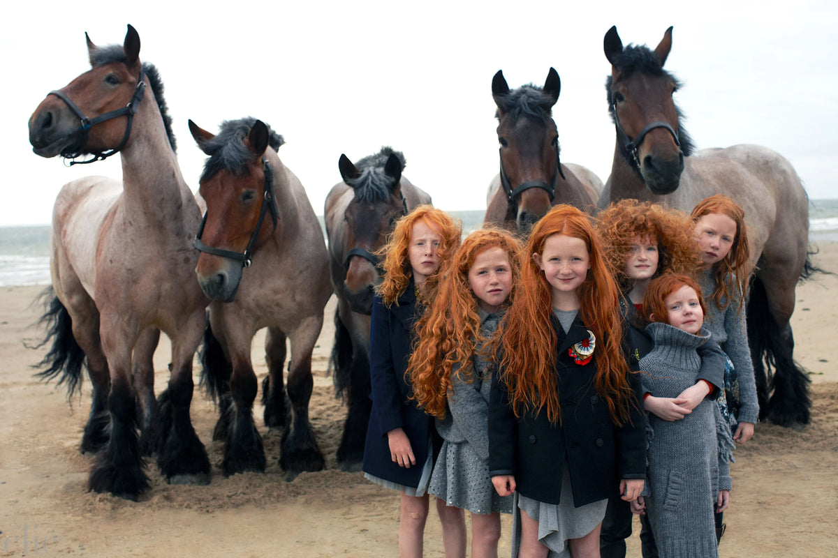 GingerPower - 1 by Igor Borisov