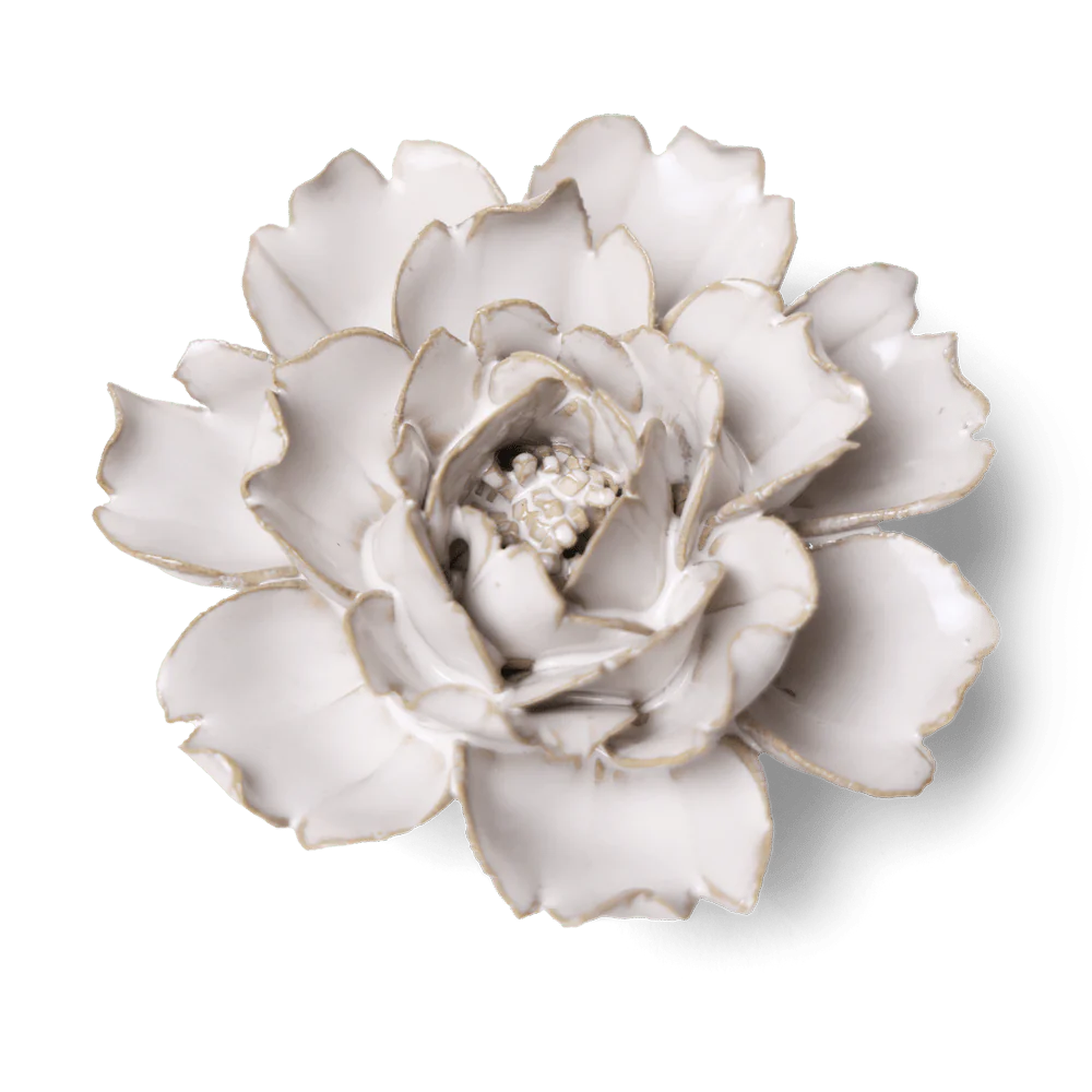 Coastal Ceramic Flower Ivory Rose, from chive