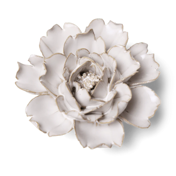 Coastal Ceramic Flower Ivory Rose, from chive