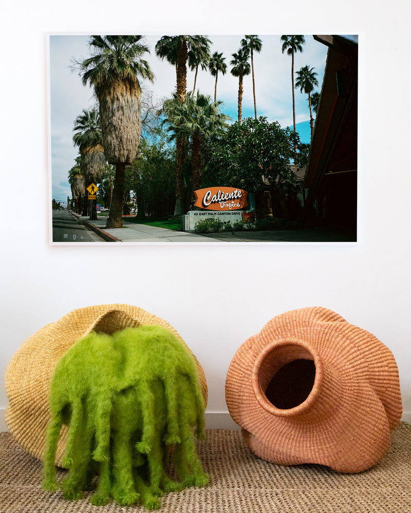 Caliente Tropics -Palm Springs by Melanie Elbaz