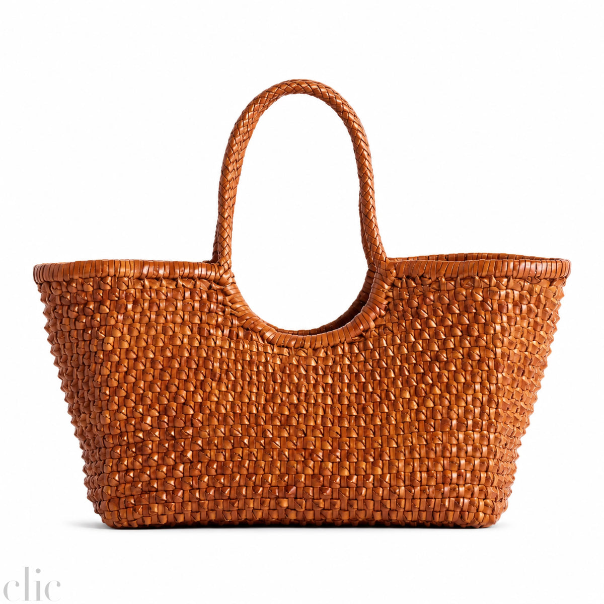 Nantucket Cactus Bag in Tan, from Dragon Diffusion