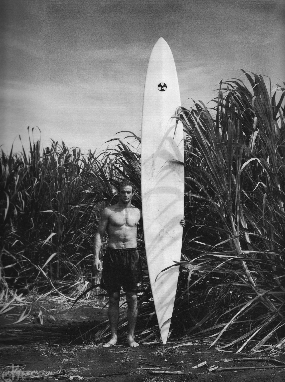 Laird Hamilton, Maui by Patrick Cariou