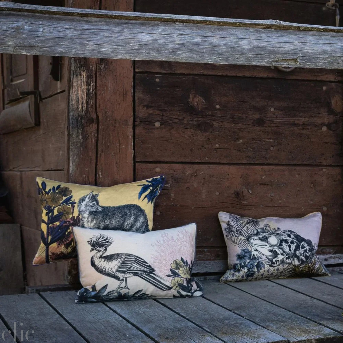 Medium Beastiaire Leon Cushion