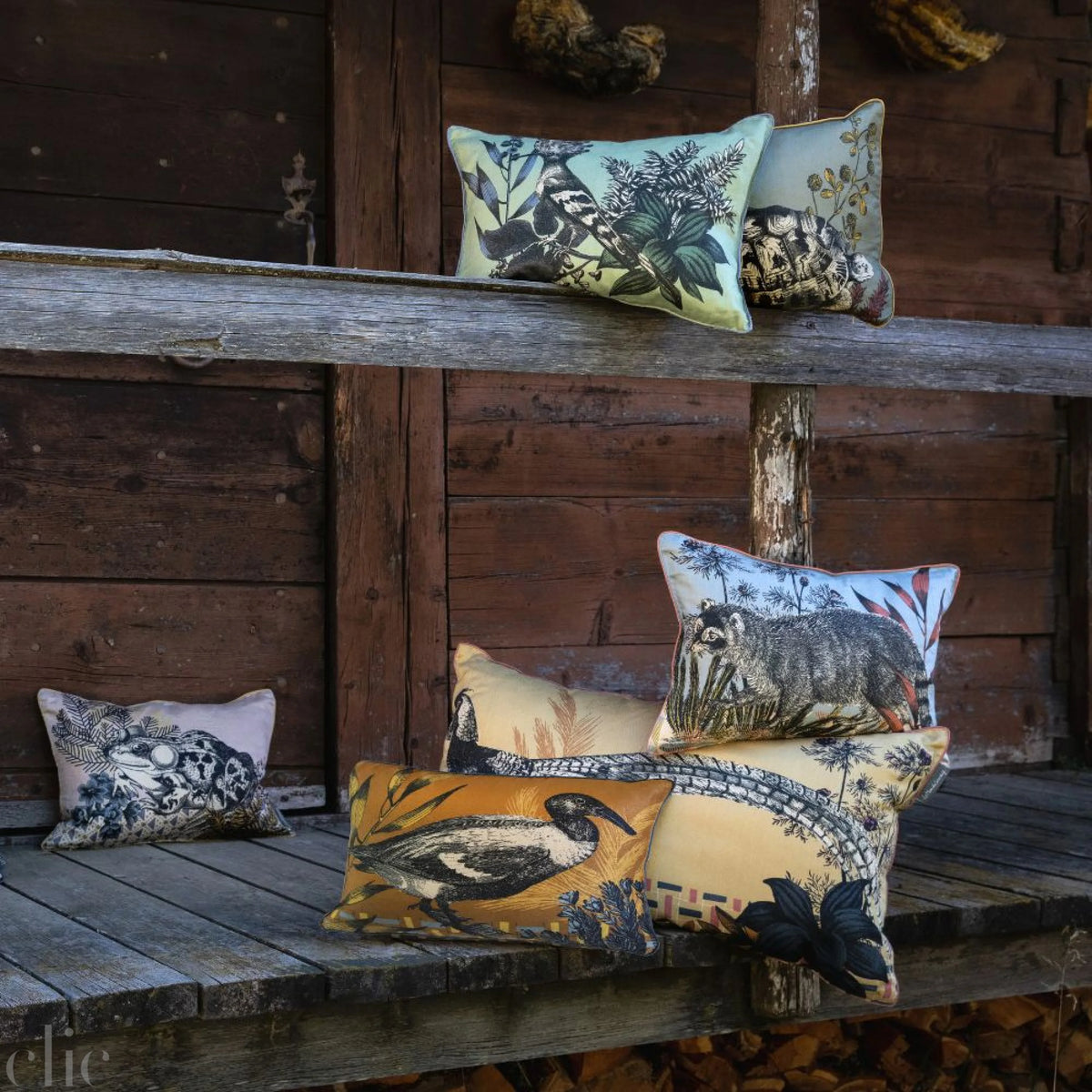 Medium Beastiaire Daffy Cushion