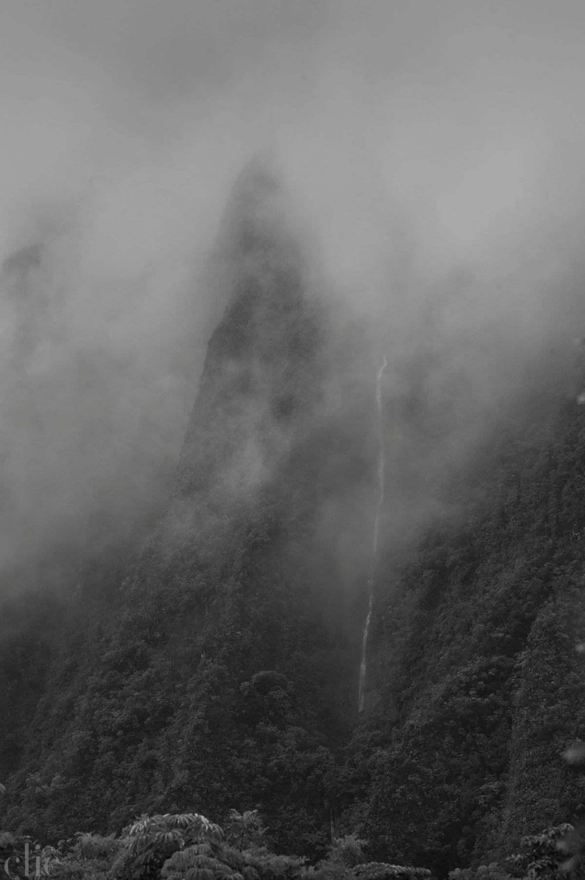 Ko`olau #204 (D-204) by Wayne Levin
