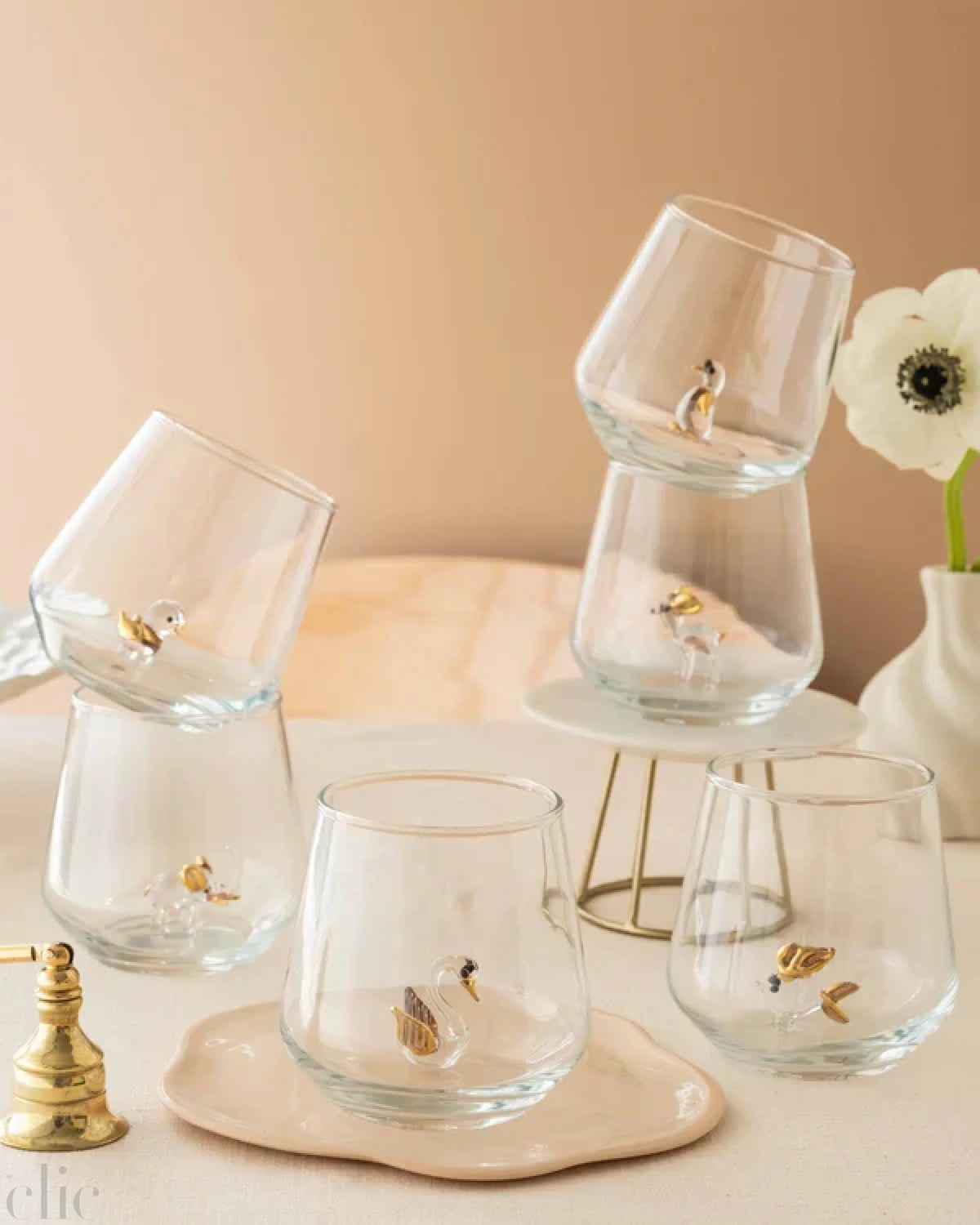 Zooluxe Drinking Glass Set of 6
