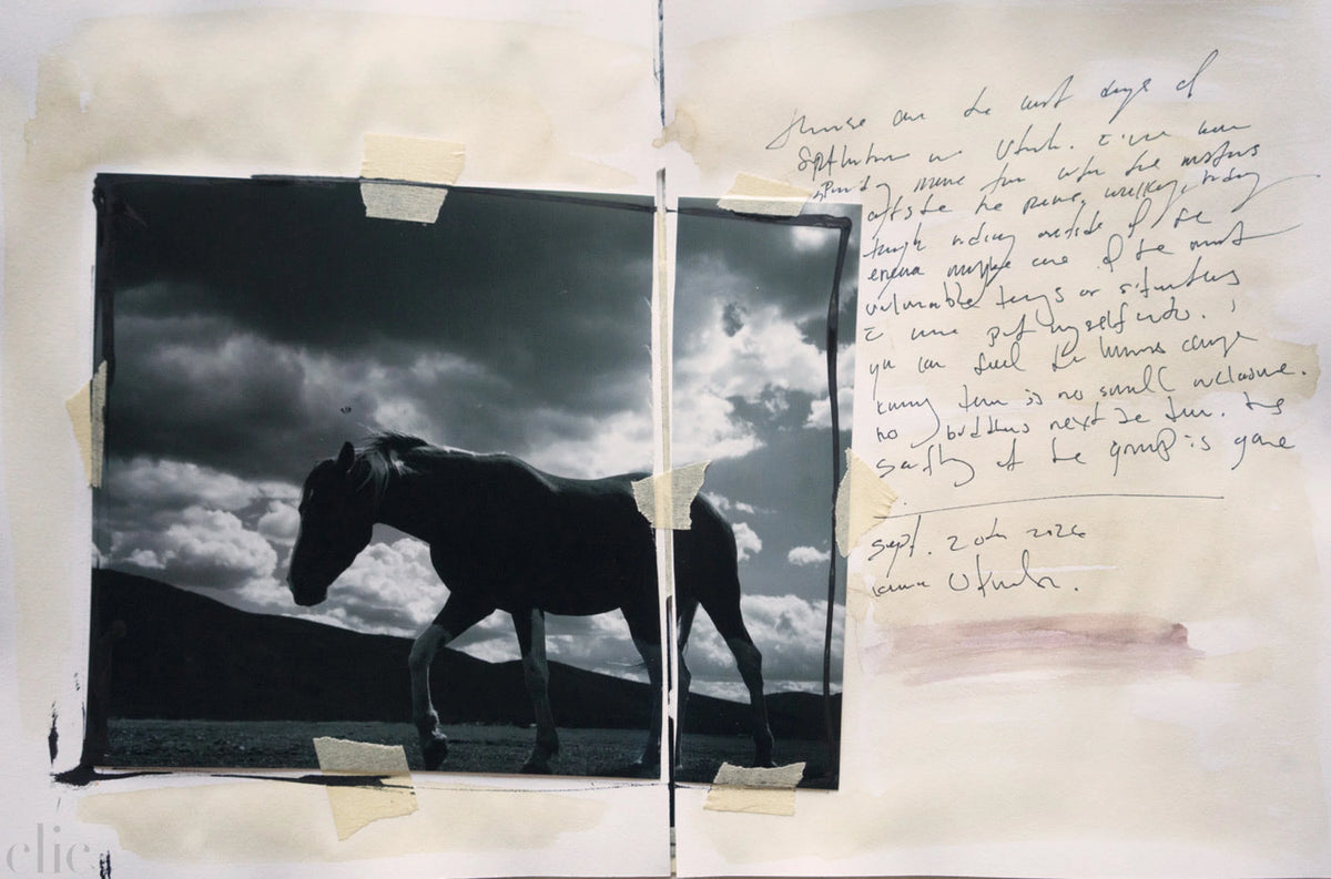 Mustang Journal 1 by Nick Turner