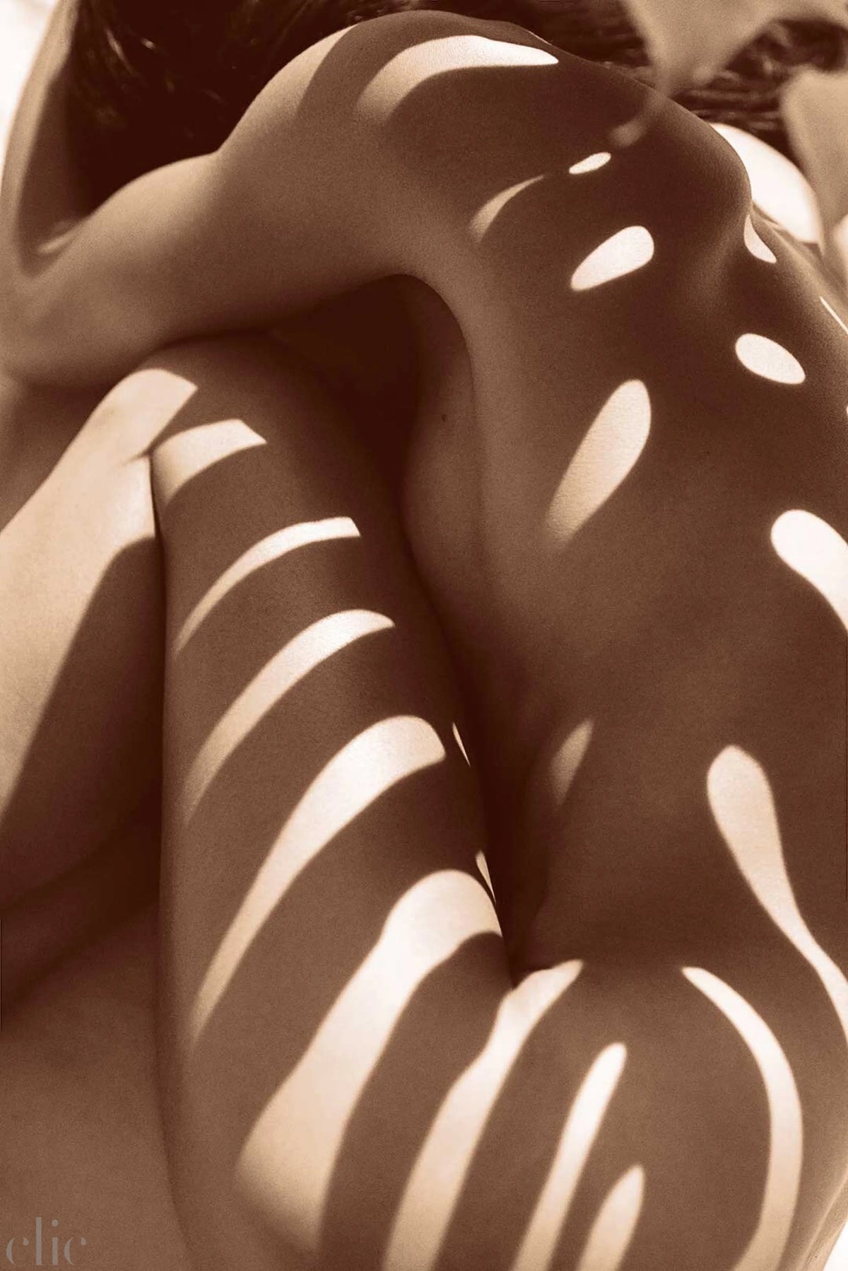 Ella Monstera 2 by Pottsy
