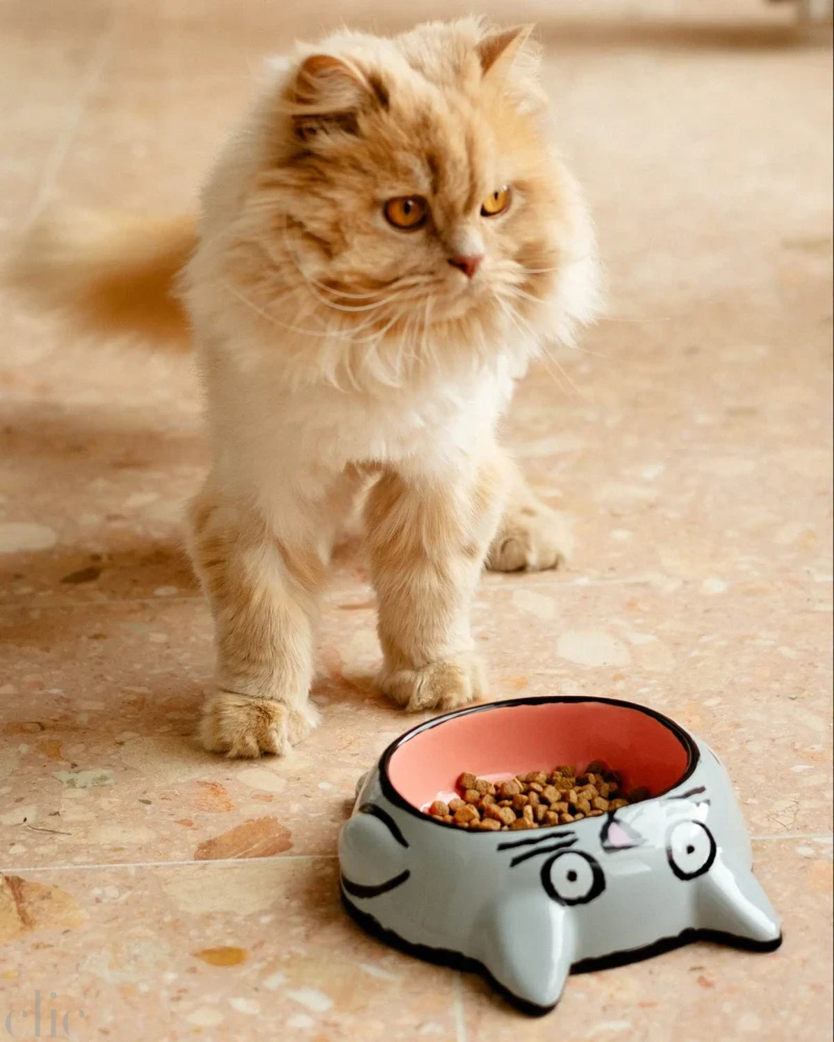 Cat Food Bowl