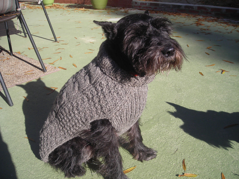 Orange Cable Knit Wool Dog Sweater - Chilly Dog