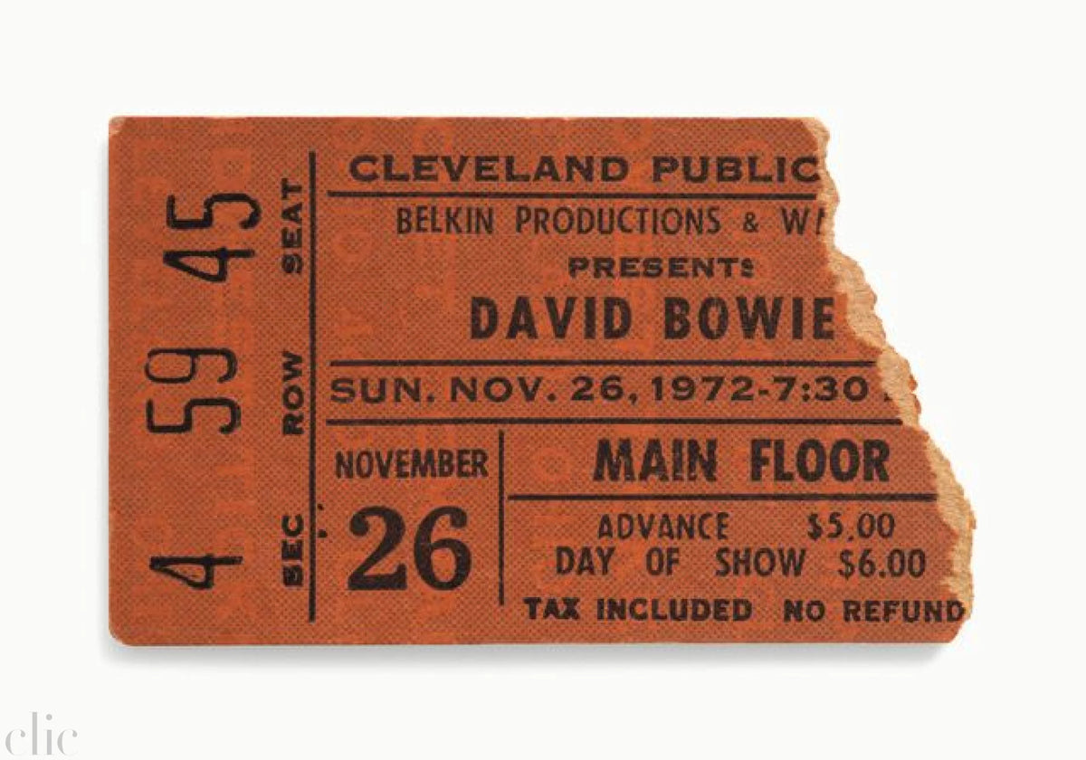 David Bowie by Blaise Hayward