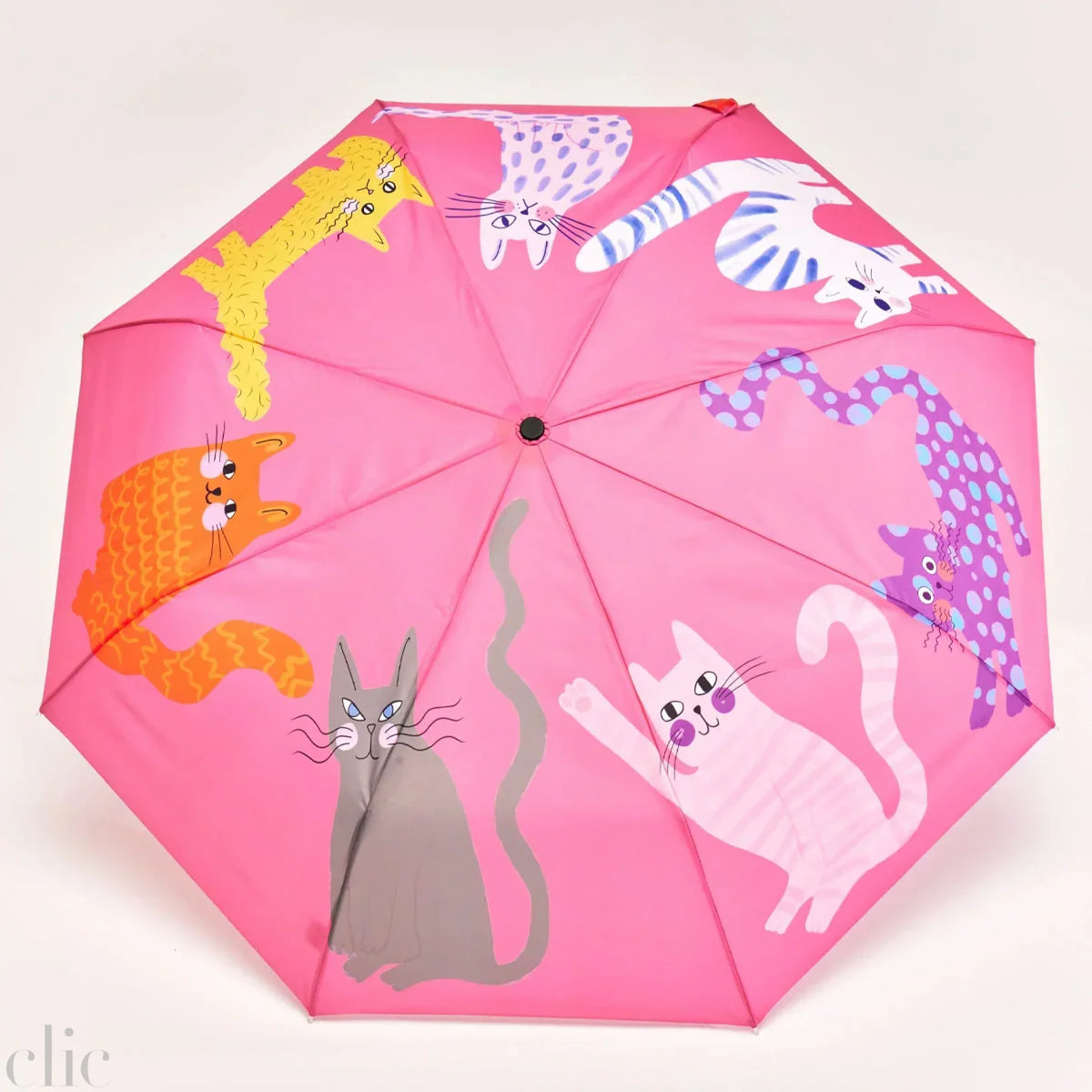 Arty Cats Compact Duck Umbrella in Fuchsia, from Origonal Duckhead