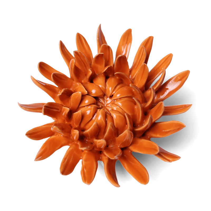 English Garden Mum in Orange, from Chive