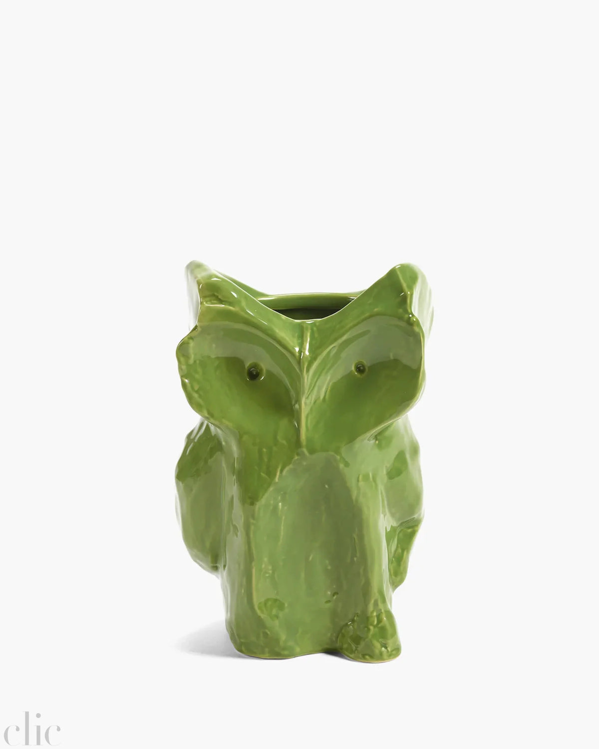 Small Owl Vase in Green after Midnight