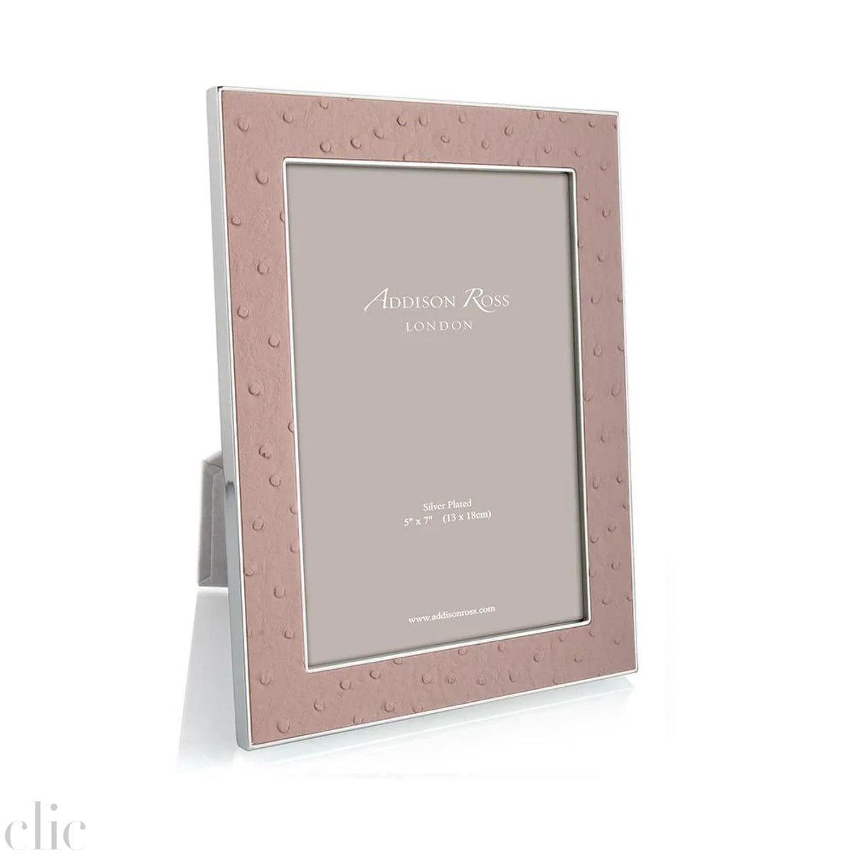 5x7 Ostrich and Silver Fram in Blush