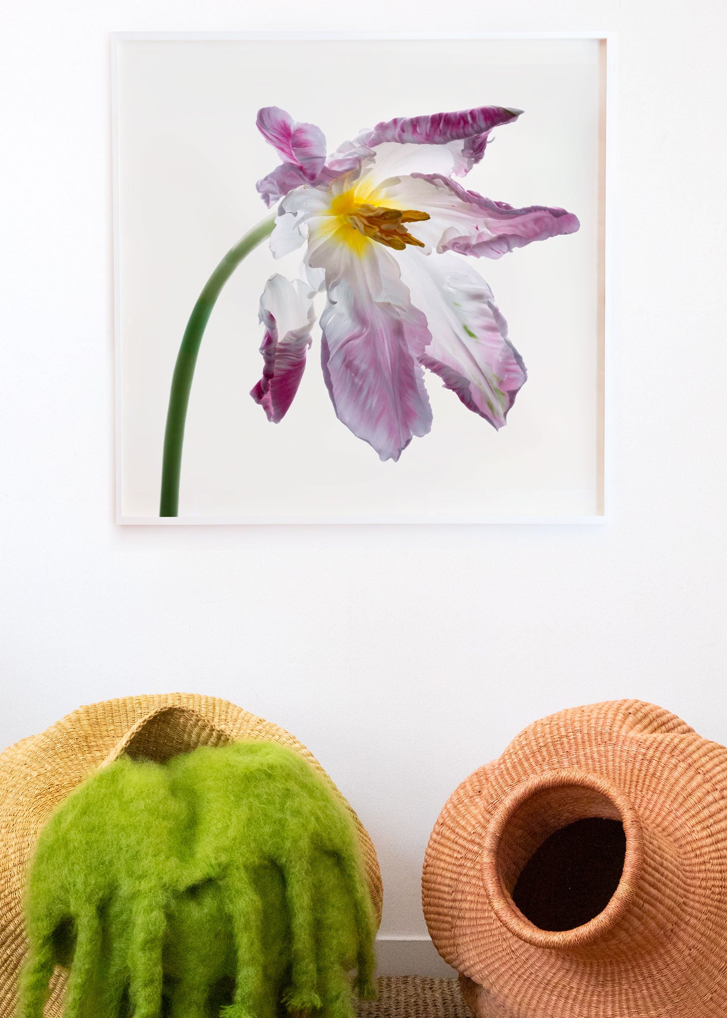 Flower Study 12 by Blaise Hayward