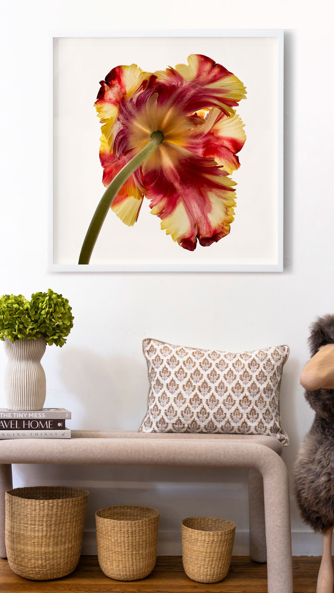 Flower Study 13 by Blaise Hayward