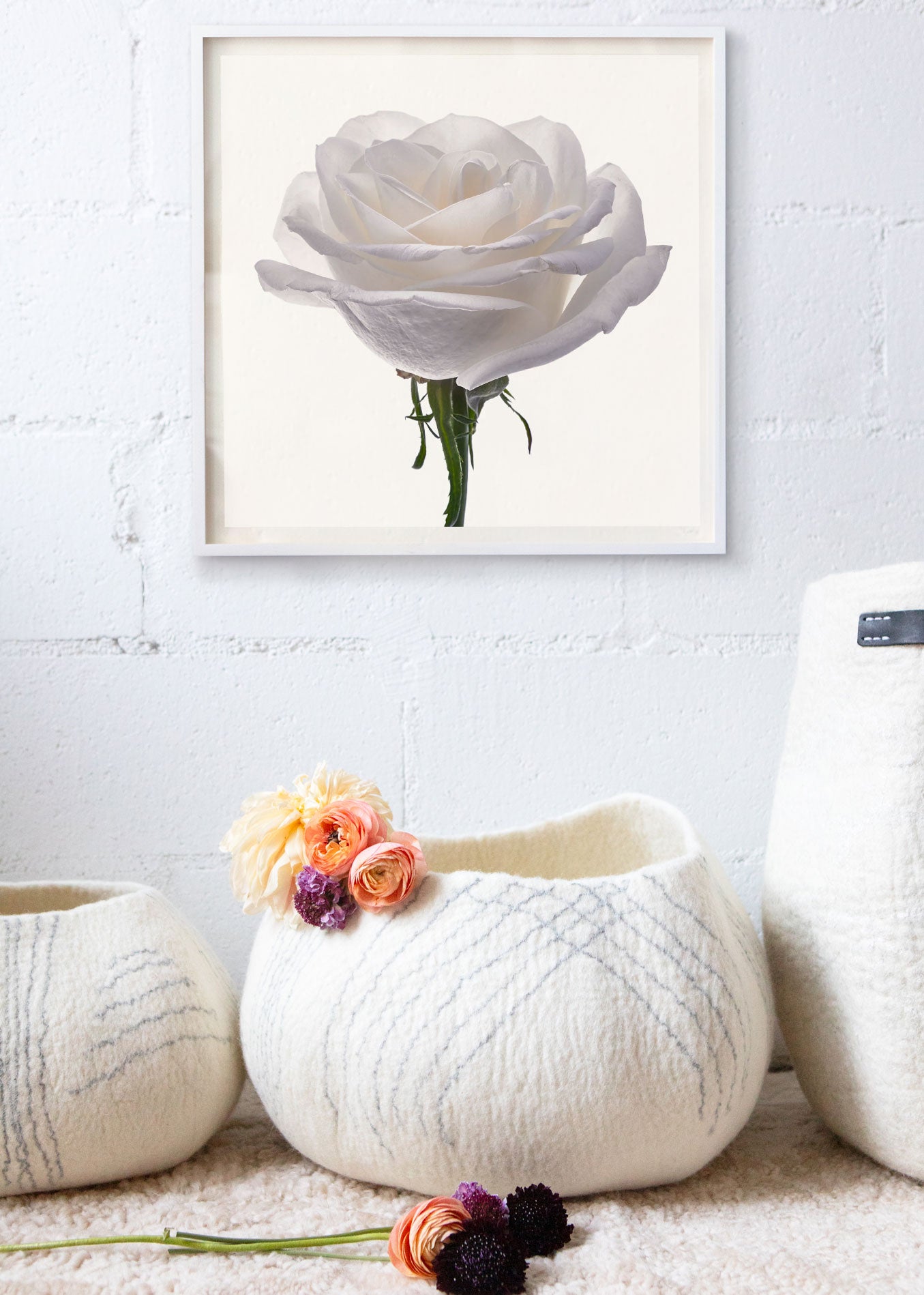 Flower Study 4 by Blaise Hayward