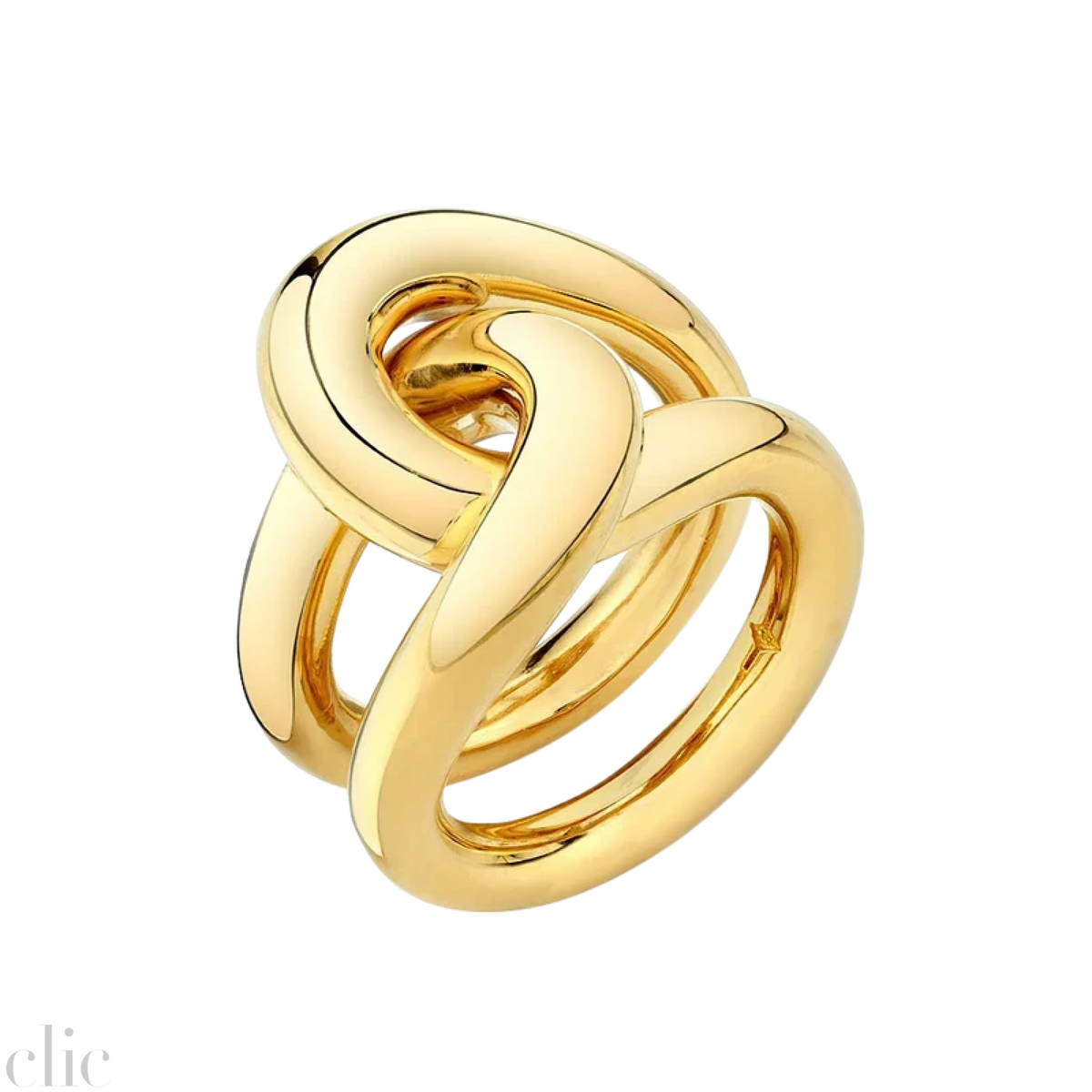 Full Link Ring, from Gabriela Artigas