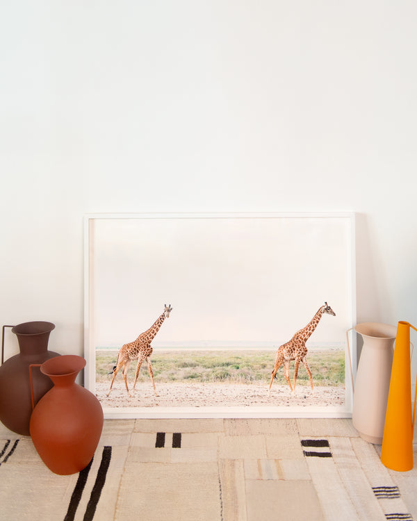 Giraffes by Juliette Charvet