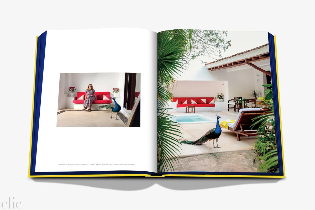 Hotel Esencia