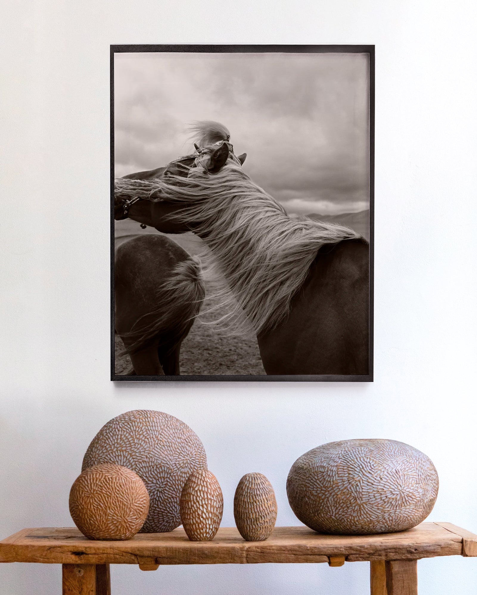 Horse in Mongolia by Anne Menke