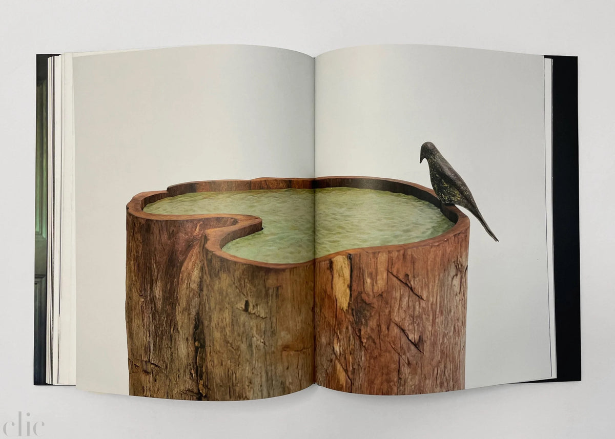 Harumi Klossowska de Rola: Sacred Woods