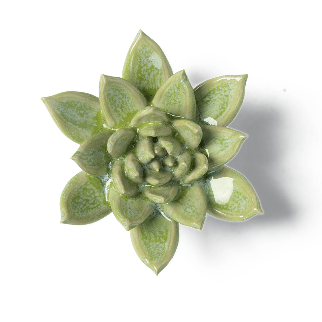 Japan Ceramic Flower Green Succulent, from Chive