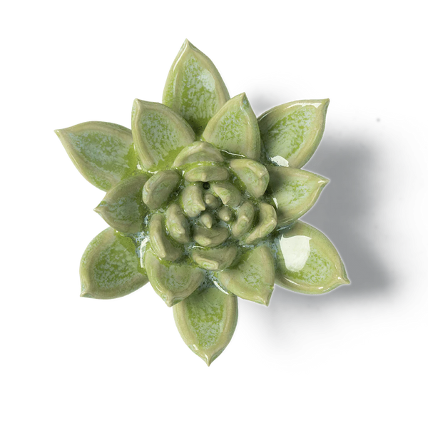 Japan Ceramic Flower Green Succulent, from Chive