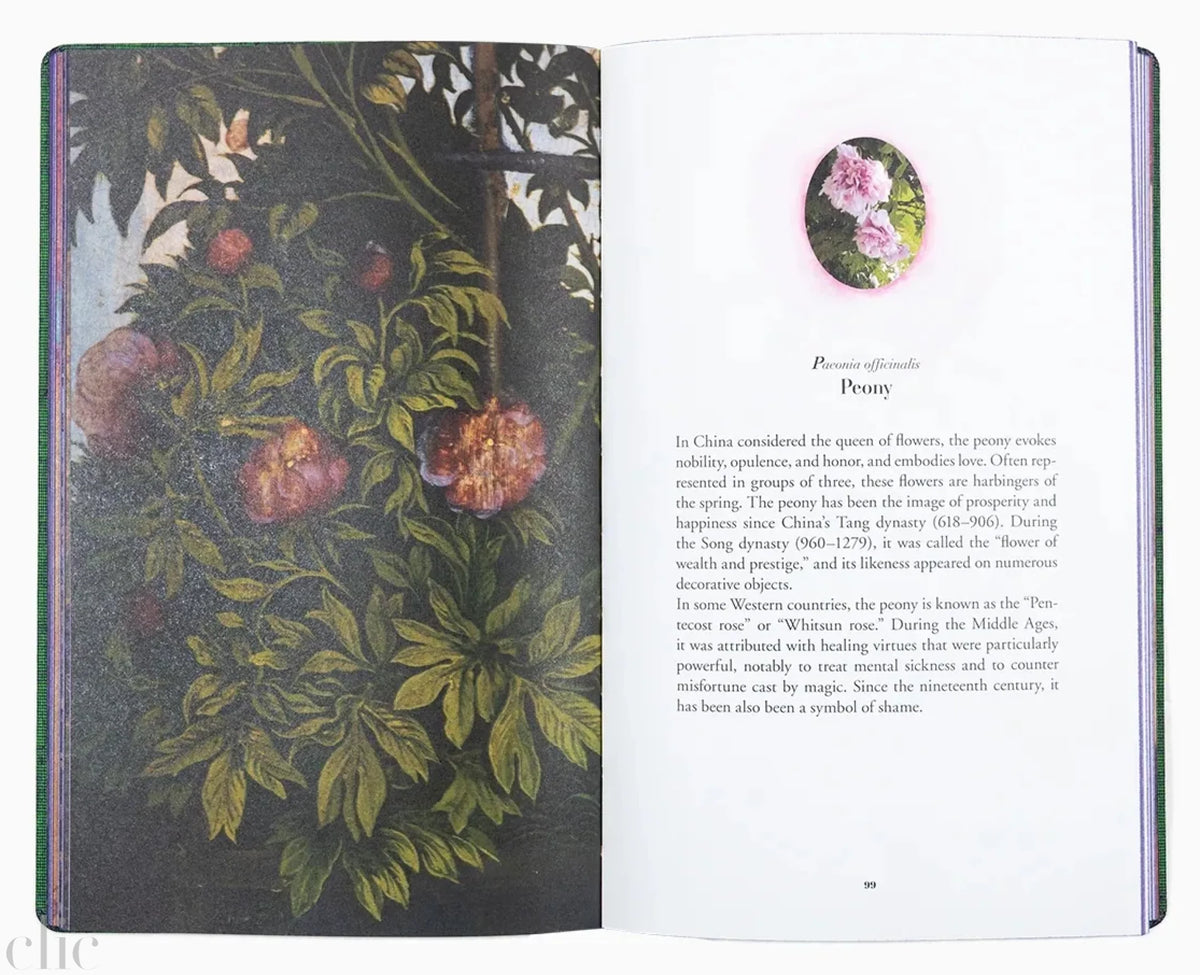 Jean-Michel Othoniel: The Secret Language of Flowers: Notes on the Hidden Meanings of Flowers in Art