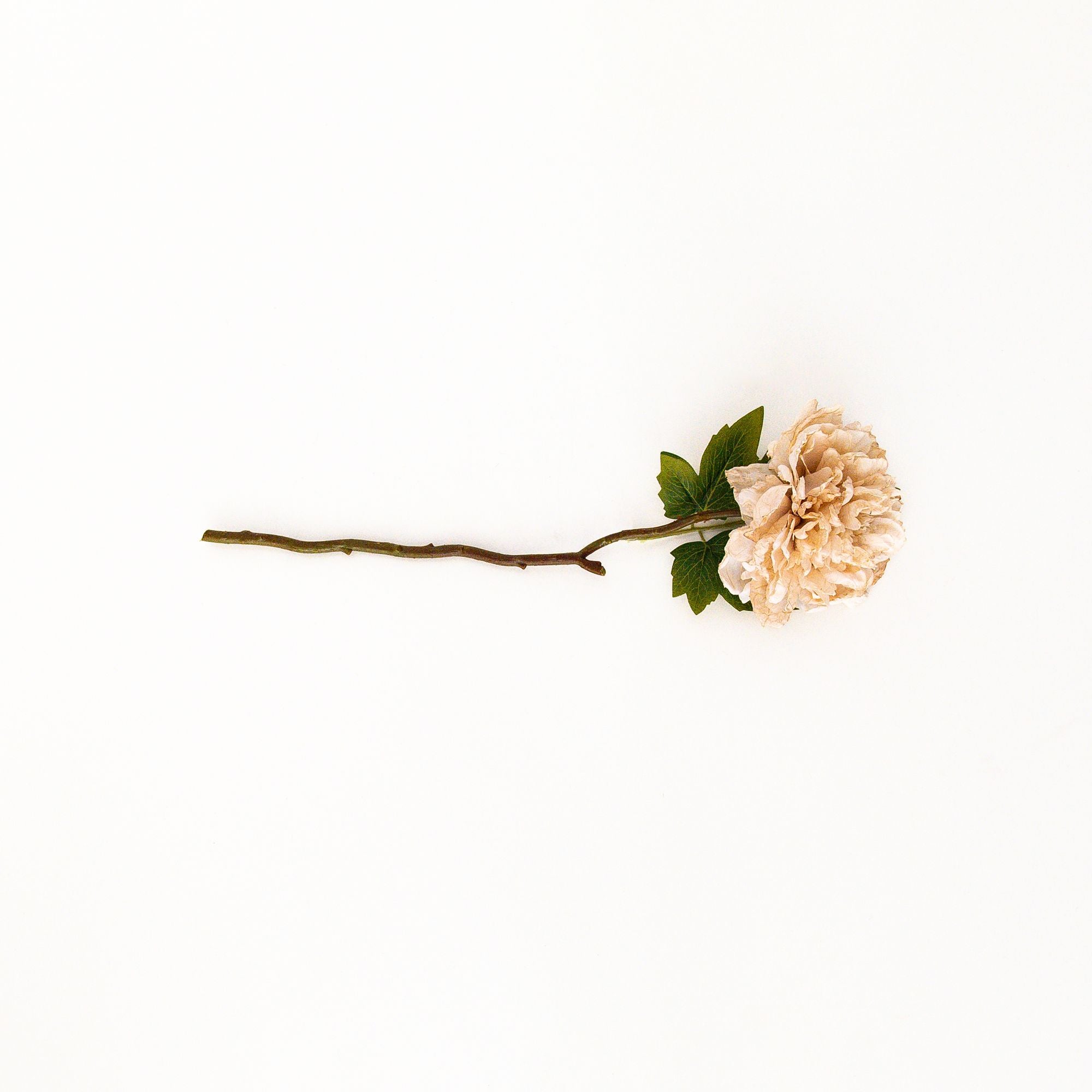 Peony Evening Dew Artificial Flower, from Abigail Ahern
